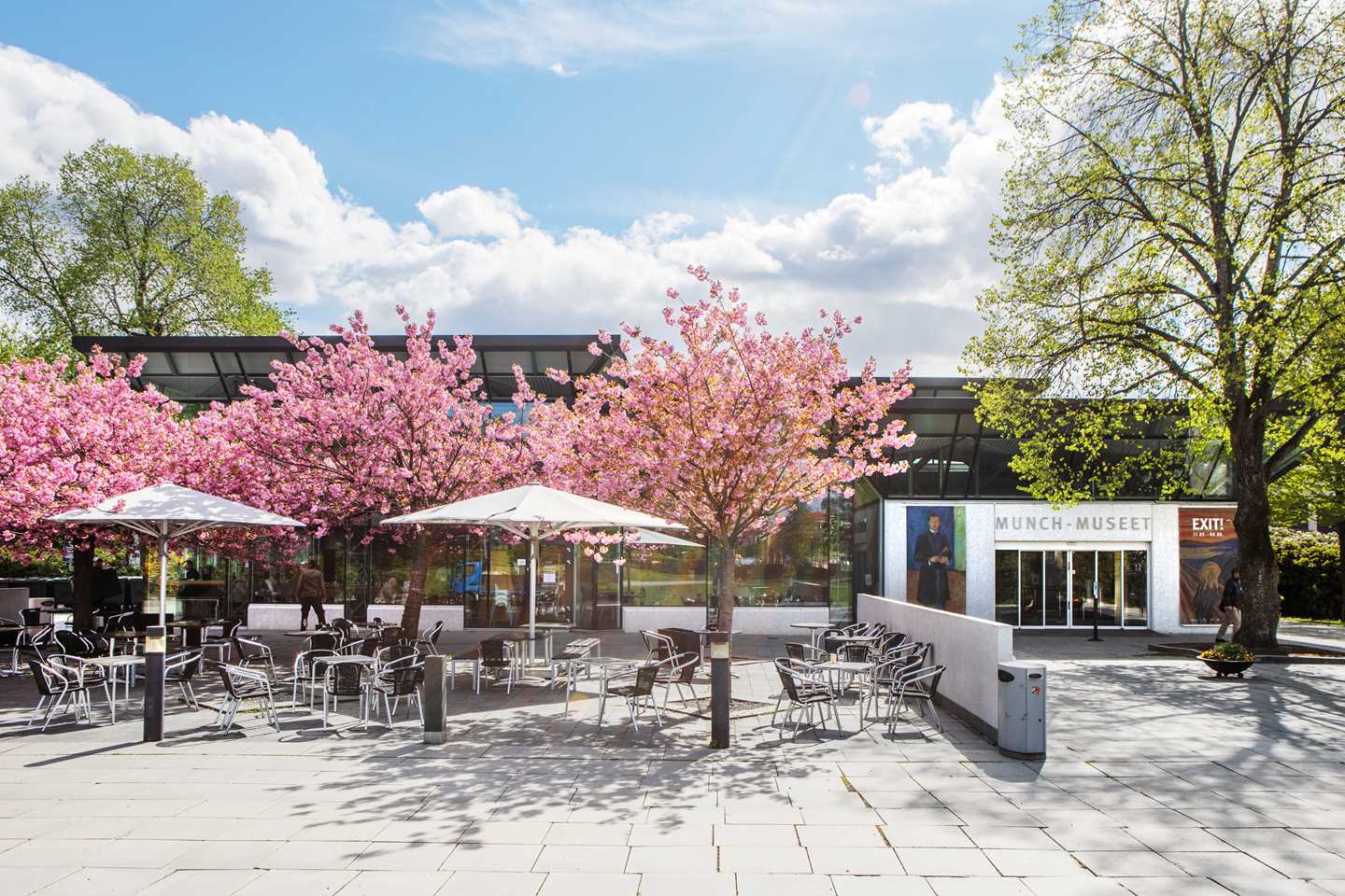  Munchmuseet at Tøyen in May 2019, with the new entrance section from 1994, and the beautiful Japanese cherry trees by the café’s outdoor seating area. Photo @ Munchmuseet