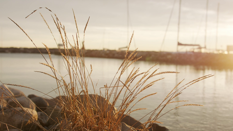 From Åsgårdstrand