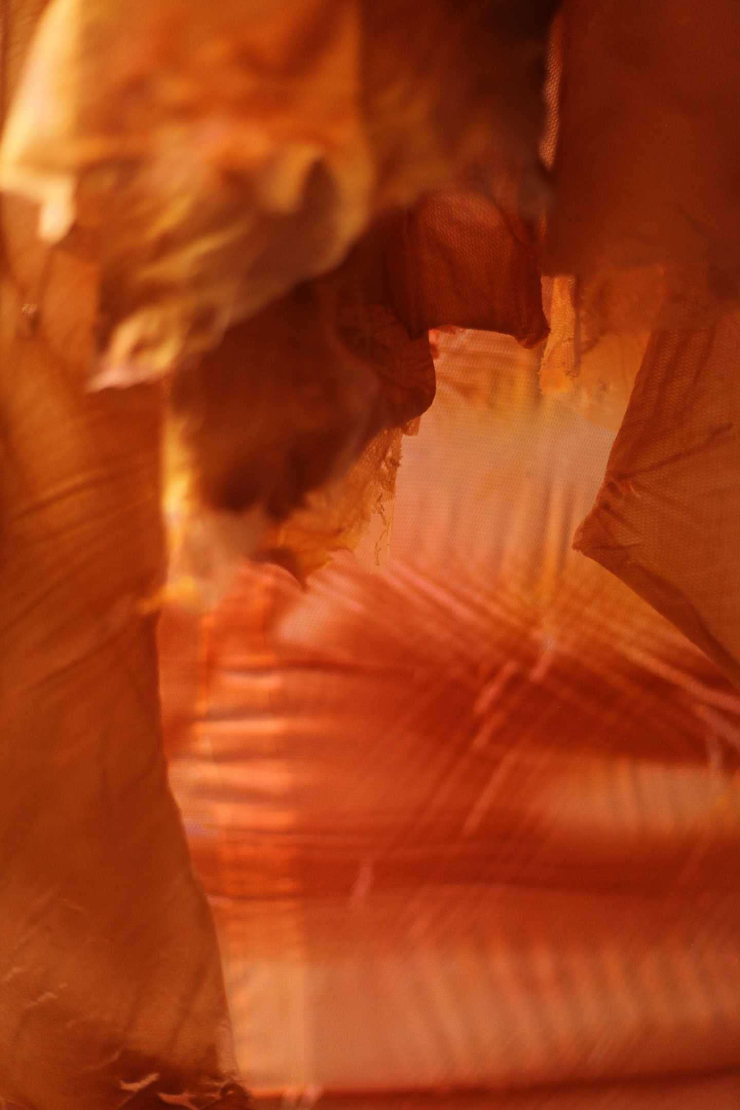 A close-up of a thick, viscous and partially transparent material in warm brown-orange colours.